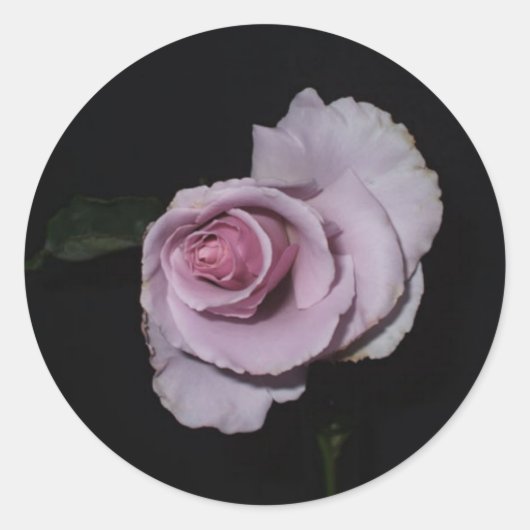 思い出大切シール ラウンドシール (正面)