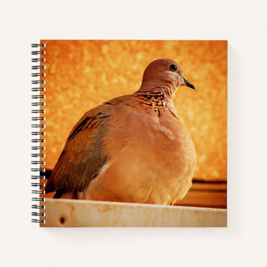 思い出忘れ ノートブック (正面)