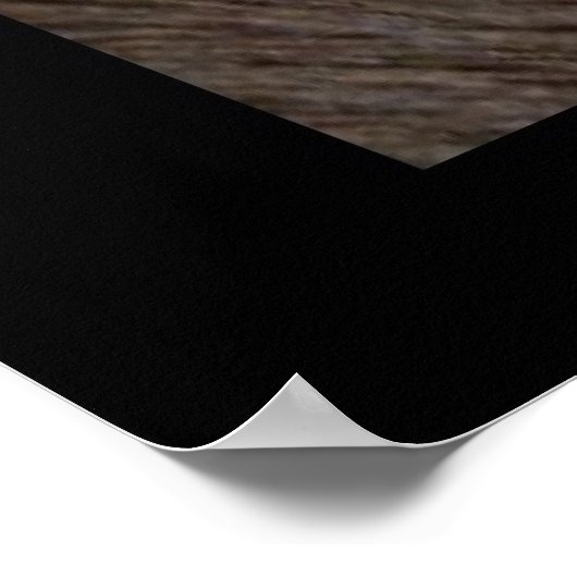 思い切ってポスターを夢見る ポスター (角)