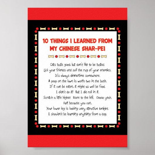 思おもしろいい学の中国の事 ポスター (正面)