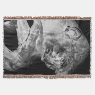 思想家のブランケット スローブランケット