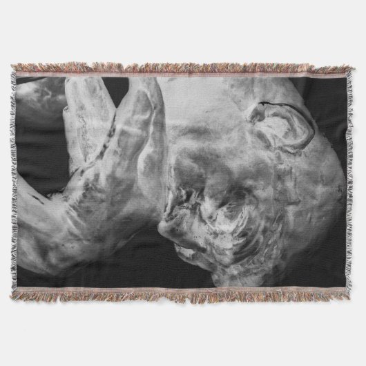 思想家のブランケット スローブランケット (正面)