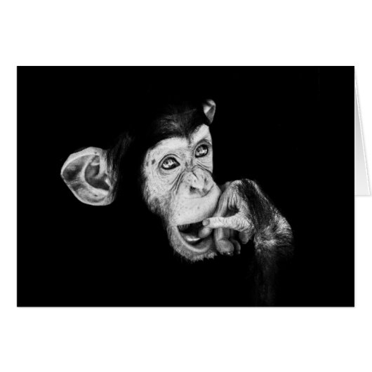 思想家チンパンジーのポートレート (正面横)