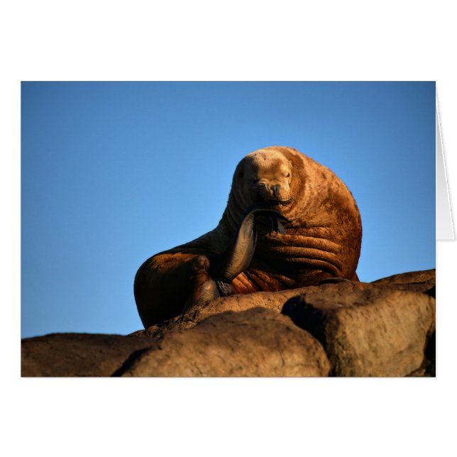 思想家 (正面横)