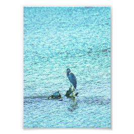 思想家 フォトプリント           