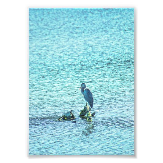 思想家 フォトプリント            (正面)