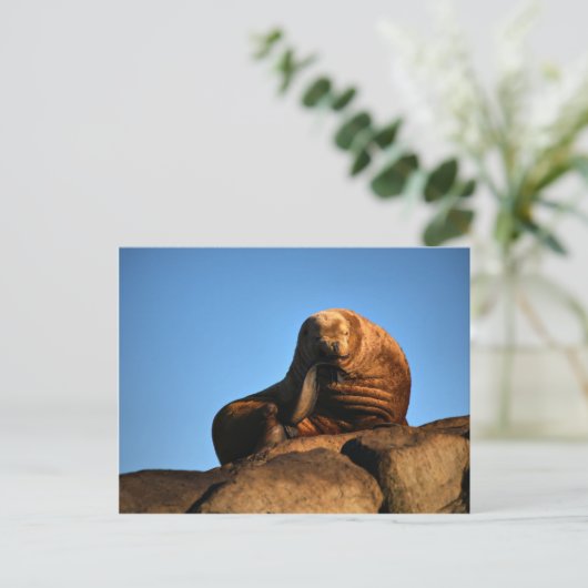 思想家 ポストカード (スタンド正面)