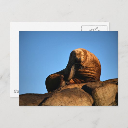 思想家 ポストカード (正面/裏面)