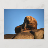 思想家 ポストカード (正面)