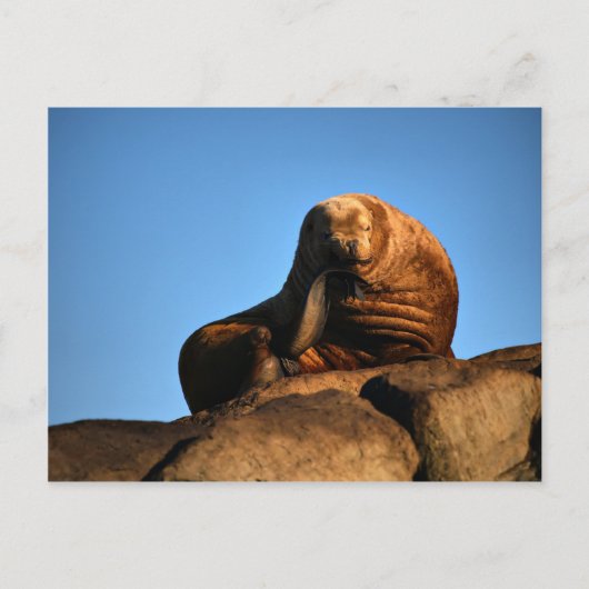 思想家 ポストカード (正面)