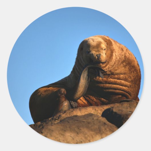 思想家 ラウンドシール (正面)