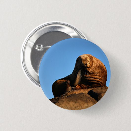 思想家 缶バッジ (正面&裏面)