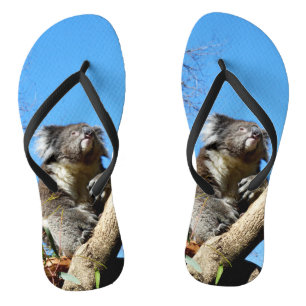 思慮深いオーストラリアのコアラ ビーチサンダル