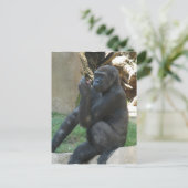 思慮深いゴリラ葉書 ポストカード (スタンド正面)