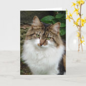 思慮深いモードのFelix カード (黄色い花)