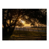 思慮深い夕べ (正面横)