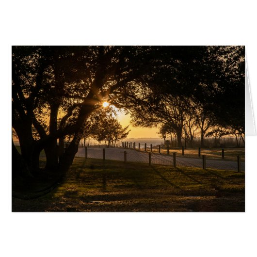 思慮深い夕べ (正面横)