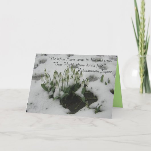 思慮深い引用文 カード (正面)