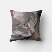 思慮深い枕があっているヒイラギ クッション (裏面)