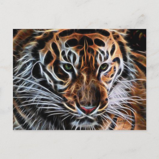 思慮深い虎 ポストカード (正面)