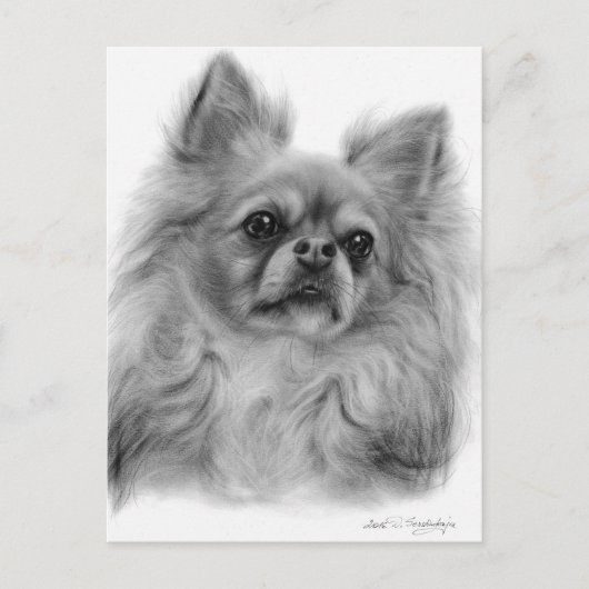 思慮深い視線 – 手絵を描犬のアートワーク ポストカード (正面)