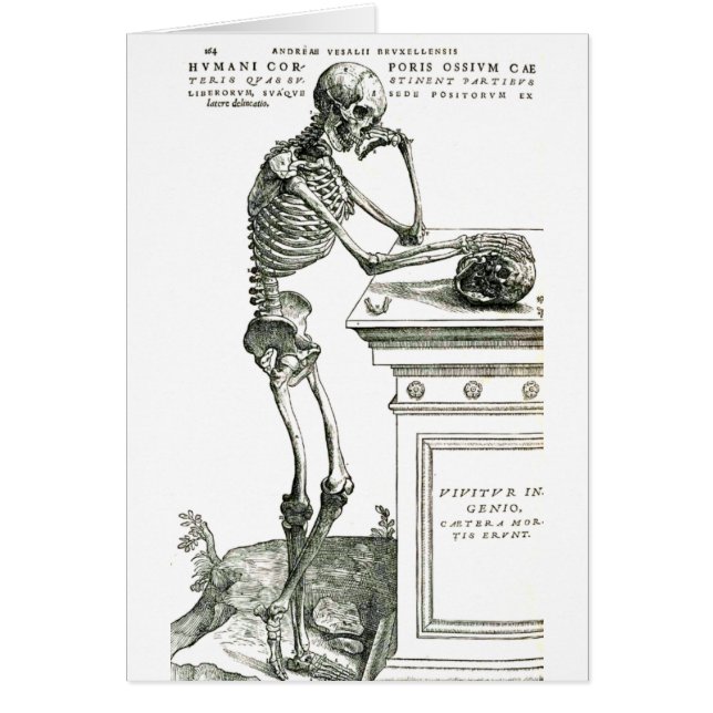 思慮深い骨組 (正面)