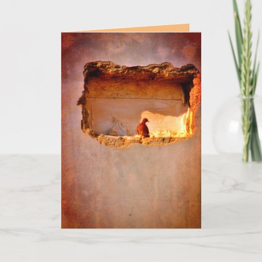 思慮深い鳩 カード (正面)