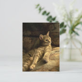 思慮深い ポストカード (スタンド正面)