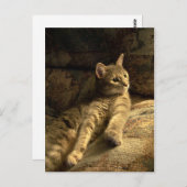 思慮深い ポストカード (正面/裏面)