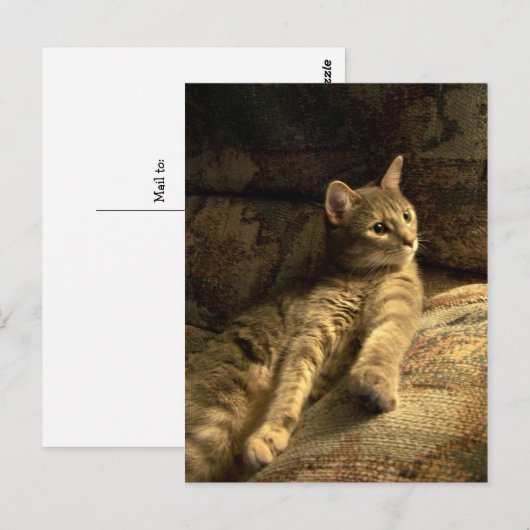 思慮深い ポストカード (正面/裏面)