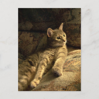 思慮深い ポストカード