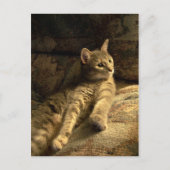 思慮深い ポストカード (正面)