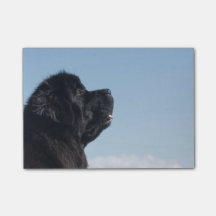 思慮深いInkaのポスト・イット