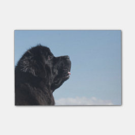 思慮深いInkaのポスト・イット ポストイット