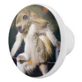 思索するサル セラミックノブ (右)