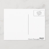 思考の封鎖 ポストカード (裏面)