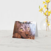 思考の目のための足 カード (黄色い花)