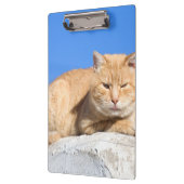 怠け猫 クリップボード (左)