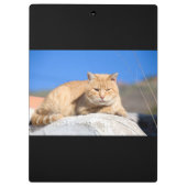 怠け猫 クリップボード (裏面)