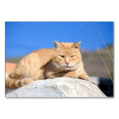 怠け猫 テーブルナンバー (正面)