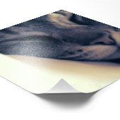 怠け猫 フォトプリント            (角)