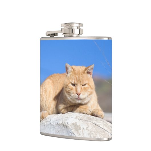 怠け猫 フラスク (左)