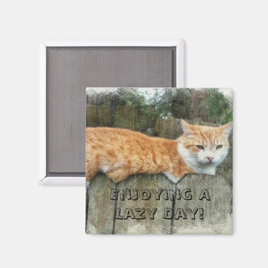 怠け猫 マグネット (正面/裏面)