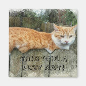 怠け猫 マグネット (正面)