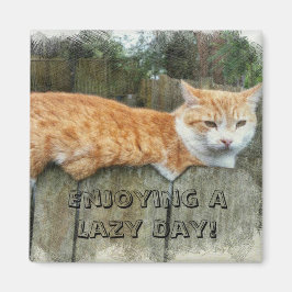 怠け猫 マグネット