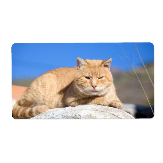 怠け猫 ラベル (正面)