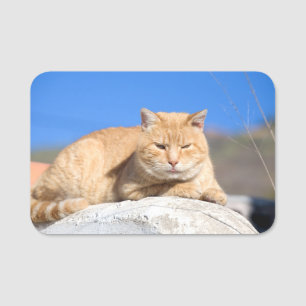 怠け猫 名札