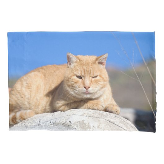 怠け猫 枕カバー (正面)