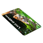 怠け者がシベリア虎を起こす マグネット (右側)