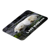 怠け者が極熊を起こす マグネット (左側)